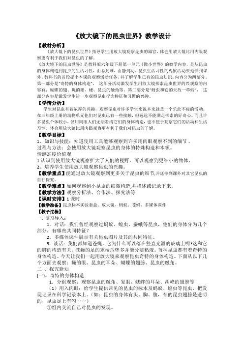 教科版小学科学六年级下册《一 微小世界 放大镜下的昆虫世界》优质课教学设计_42