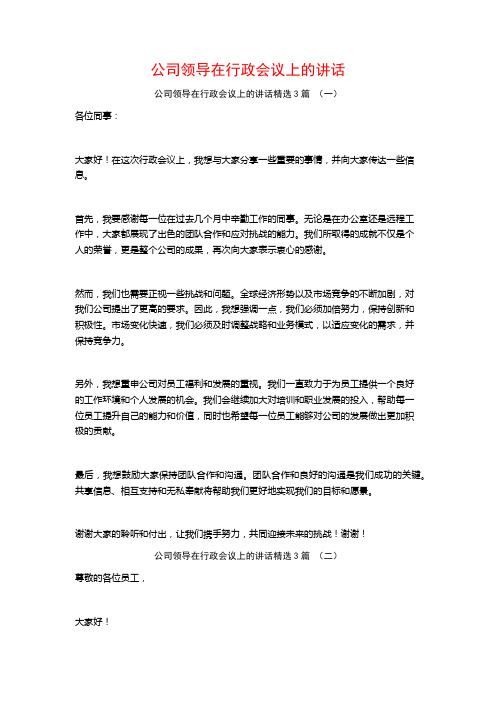 公司领导在行政会议上的讲话3篇