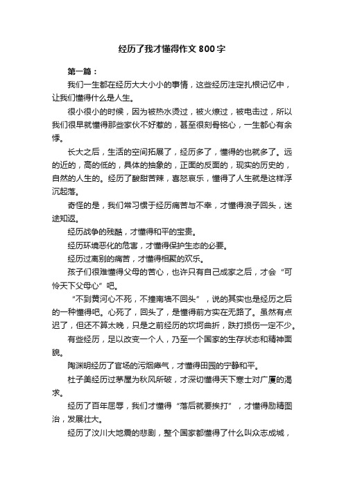 经历了我才懂得作文800字