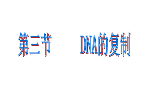 DNA分子的复制