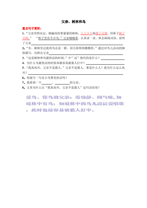 父亲、树林和鸟专项练习题
