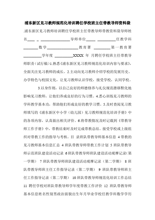 浦东新区见习教师规范化培训聘任学校班主任带教导师资料袋.doc