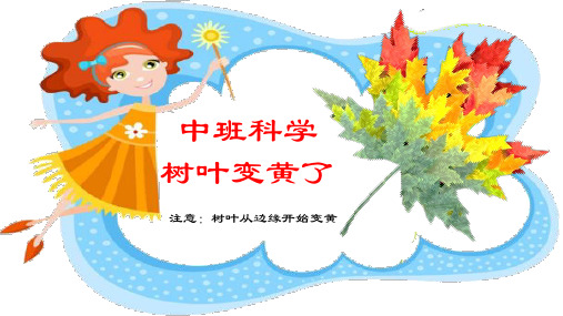 幼儿园科学：树叶变黄了