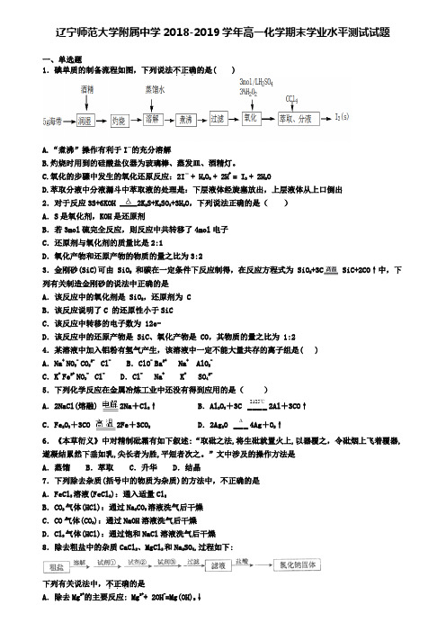 辽宁师范大学附属中学2018-2019学年高一化学期末学业水平测试试题