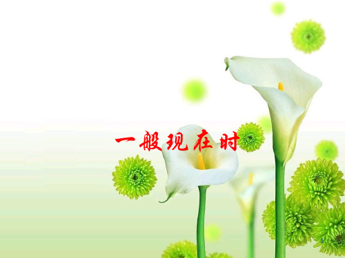 一般现在时(英语)ppt课件