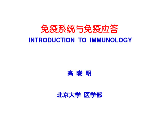 THEIMMUNESYSTEM免疫系统-北京大学医学部课程中心