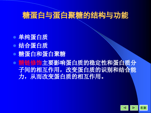 糖蛋白和蛋白聚糖课件