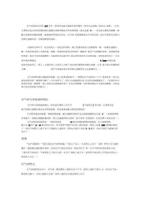 反气举的原理和制作全攻略word精品