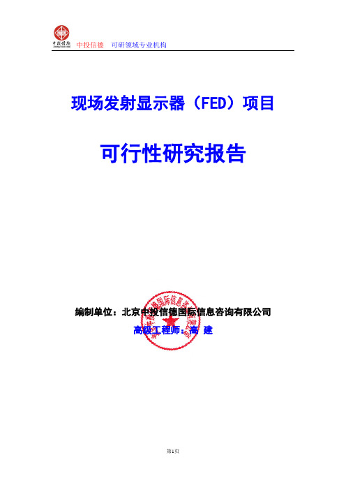 现场发射显示器(FED)项目可行性研究报告编写格式及参考(模板word)