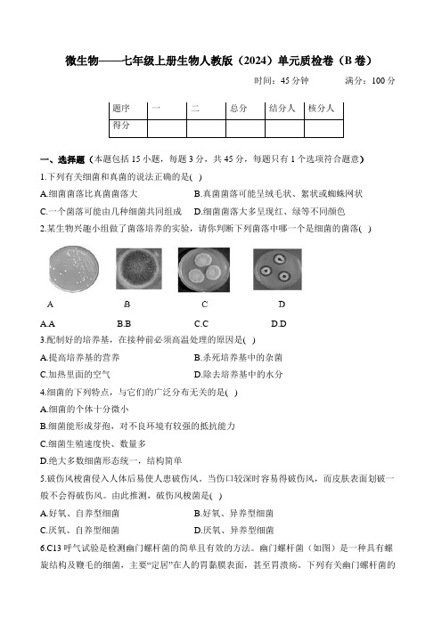 2.3微生物——七年级上册生物人教版(2024)单元质检卷(B卷)(含解析)