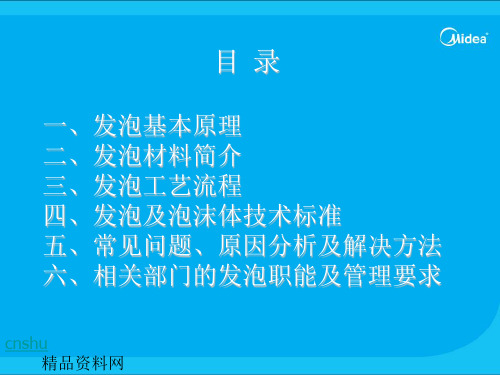 冰箱发泡工艺流程共28页