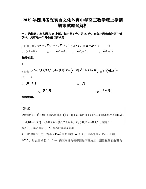 2019年四川省宜宾市文化体育中学高三数学理上学期期末试题含解析