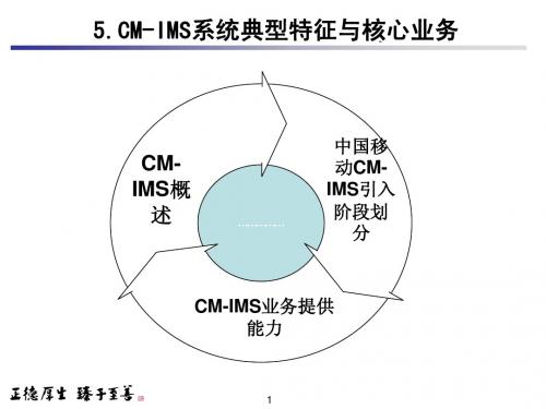 IMS技术(5)