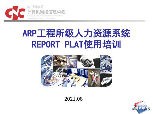 ARP项目所级人力资源系统REPORTPLAT使用培训