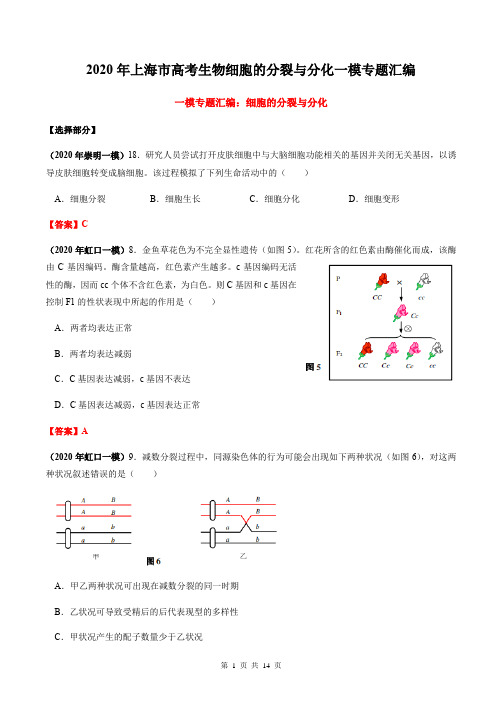 2020年上海市高考生物细胞的分裂与分化一模专题汇编