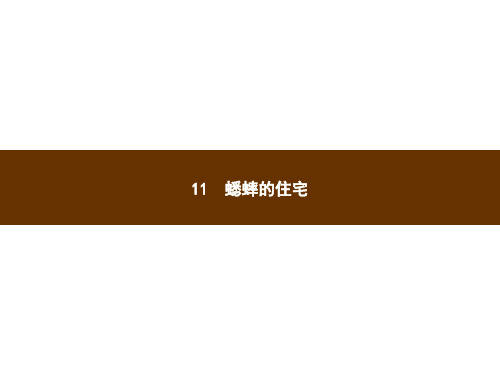 人教部编版四年级上册语文习题第三单元蟋蟀的住宅