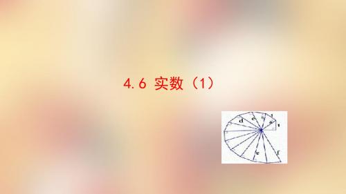 鲁教版七级上册实数PPT课件