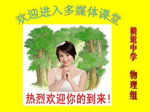 2013,备战中考系列训练,PPT(1)