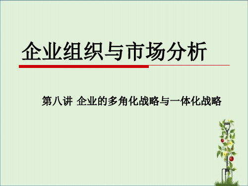 08第八讲-企业的多角化战略与一体化战略