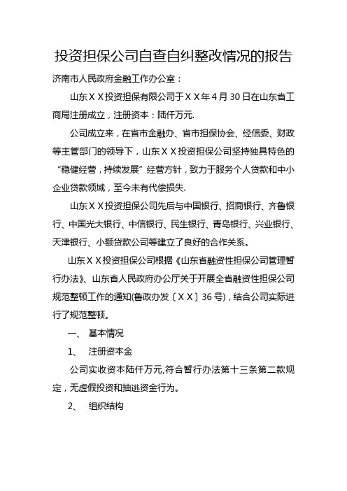 投资担保公司自查自纠整改情况的报告