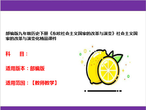 部编版九年级历史下册《东欧社会主义国家的改革与演变》社会主义国家的改革与演变化精品课件