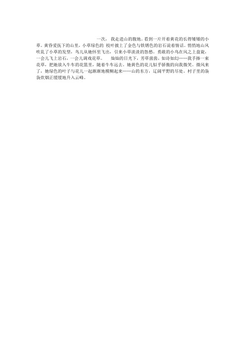 无名草