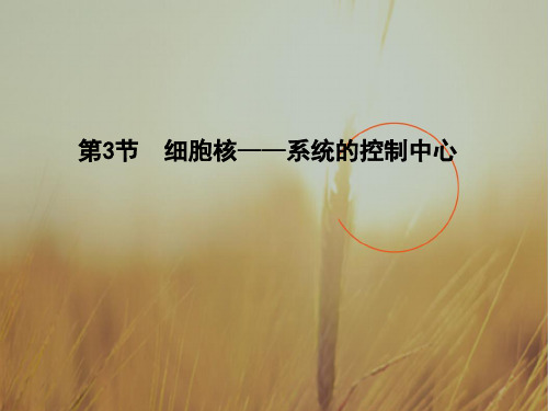 2018学年高中生物必修1同步精讲课件:第3章 第3节 细胞的基本结构 细胞核 系统的控制中心