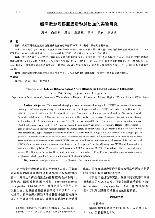 超声造影观察腹膜后动脉出血的实验研究