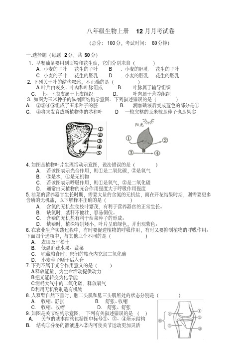 八年级生物上册12月月考试卷及答案