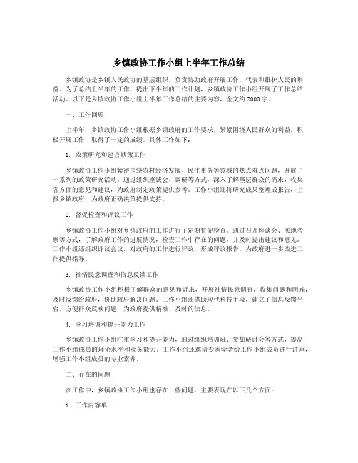 乡镇政协工作小组上半年工作总结