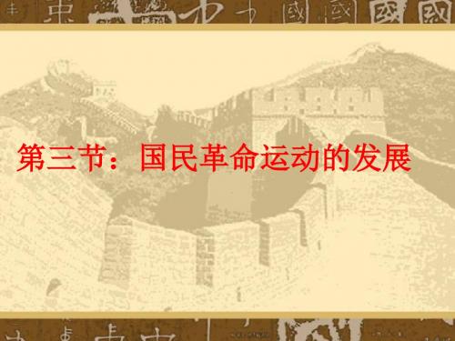 国民革命运动的发展ppt2 人教版