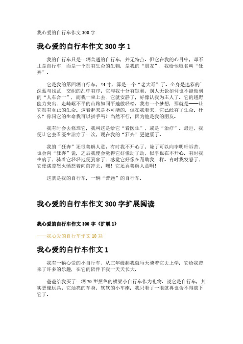 我心爱的自行车作文300字