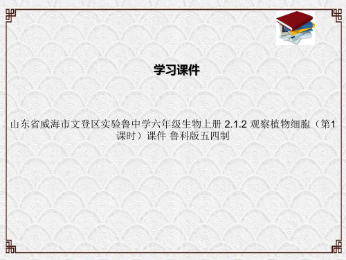 山东省威海市文登区实验鲁中学六年级生物上册 2.1.2 观察植物细胞(第1课时)课件 鲁科版五四制