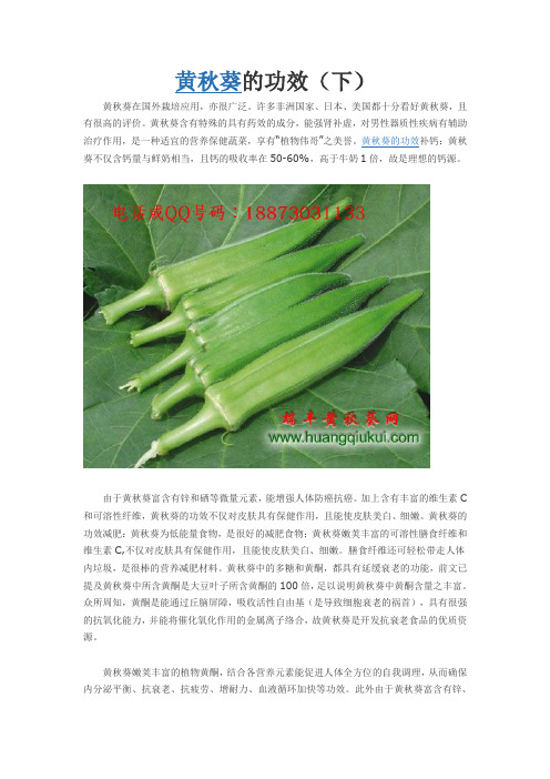 黄秋葵的功效