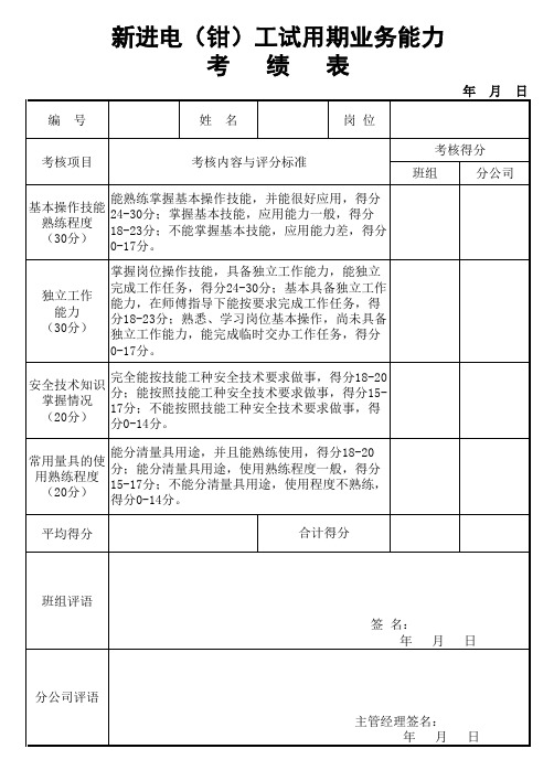 新进员工试用期考核表