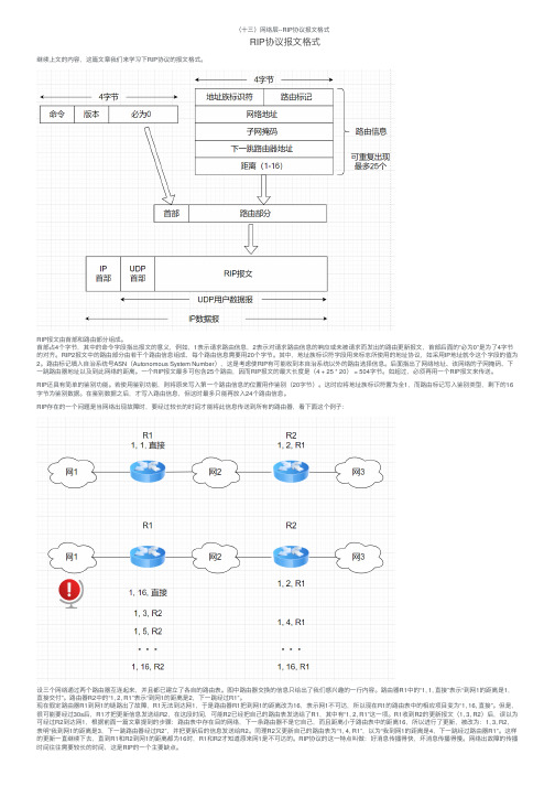 （十三）网络层--RIP协议报文格式