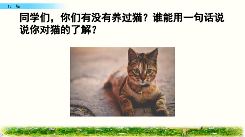 部编版四年级语文下册《 猫》 (共39张PPT)