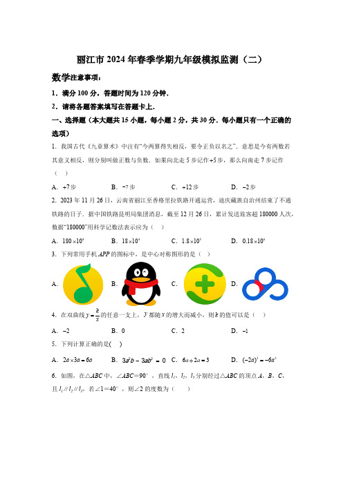 2024年云南省丽江市九年级中考二模数学试题(含解析)