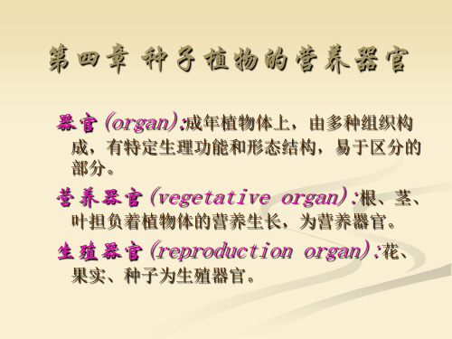 《植物学》种子植物的营养器官PPT资料120页