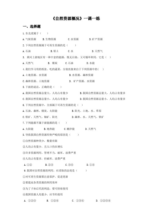 湘教版地理八年级上册3.1《自然资源概况》同步习题(含答案)