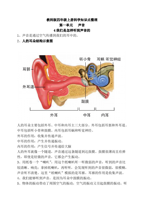 新教科版四年级上册科学1.4我们是怎样听到声音的  知识点