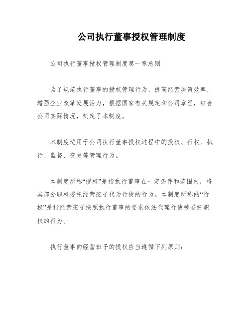 公司执行董事授权管理制度