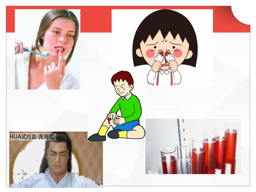 中药止血药 ppt课件