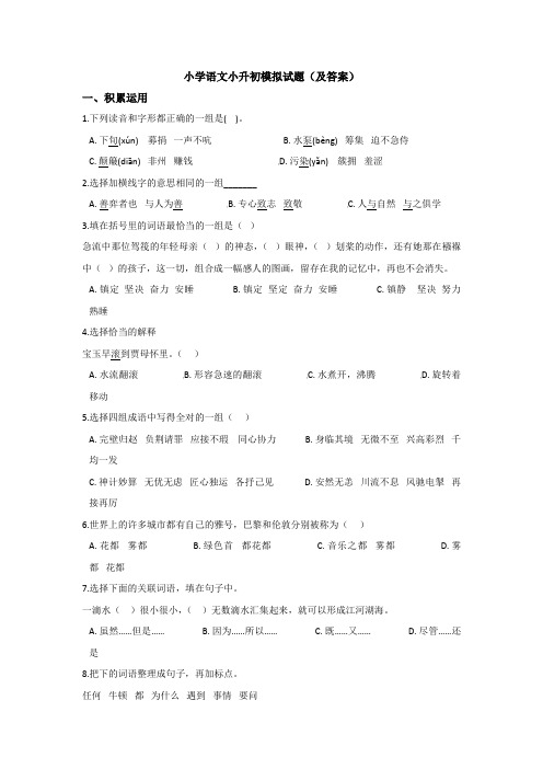 【15套试卷】莆田市南门小升初第一次模拟考试语文精选含答案