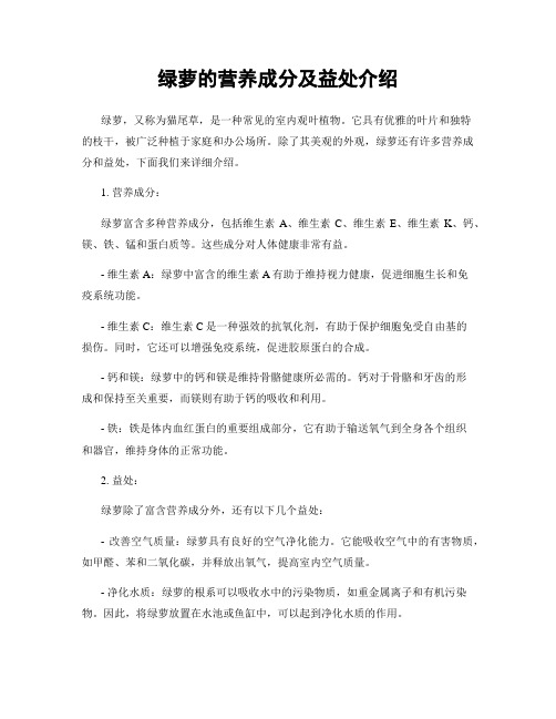 绿萝的营养成分及益处介绍