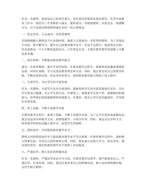 特级教师成长史心得体会