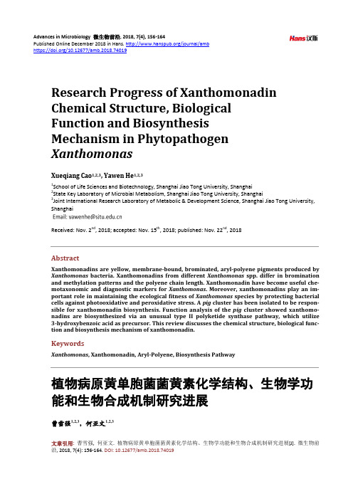 植物病原黄单胞菌菌黄素化学结构、生物学功 能和生物合成机制研究进展