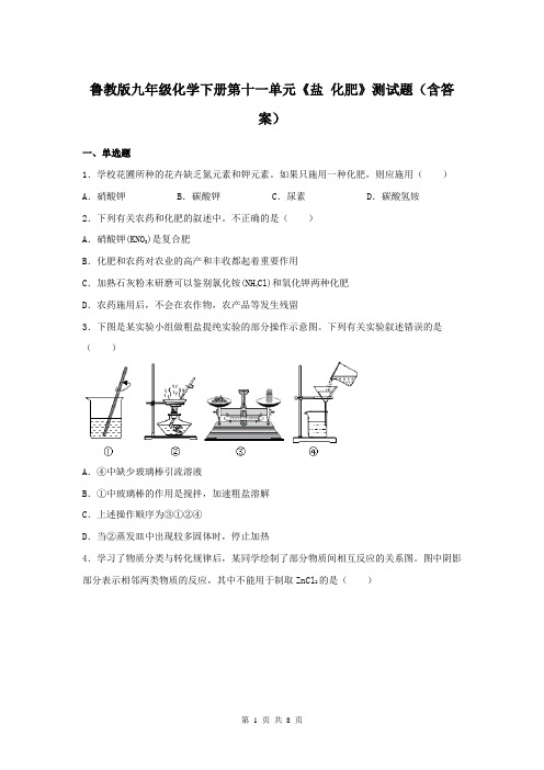 鲁教版九年级化学下册第十一单元《盐 化肥》测试题(含答案)