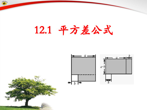 12.1平方差公式课件ppt