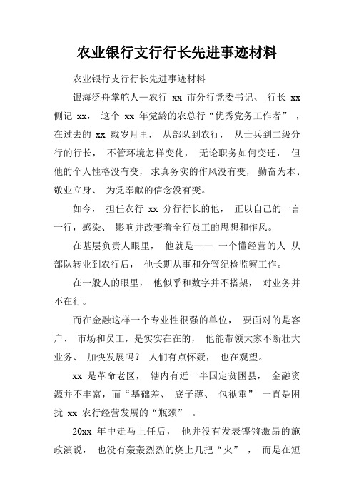 农业银行支行行长先进事迹材料